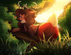 Willow